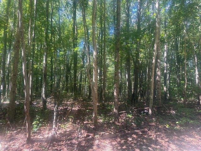 Land for sale in Fayetteville, West Virginia