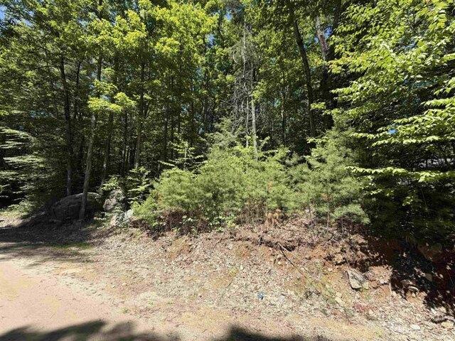 Land for sale in New Hampshire