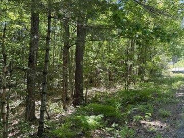Land for sale in New Hampshire