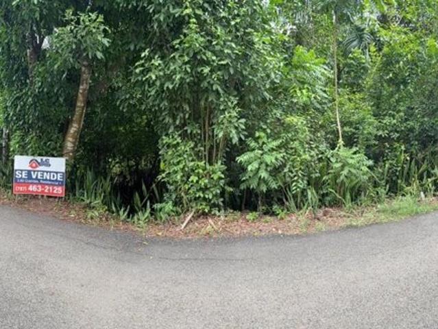 Land for sale