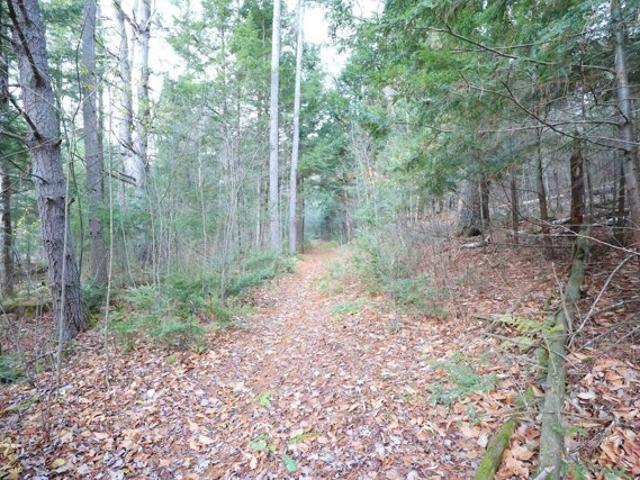 Land for sale in Plantsville, Vermont