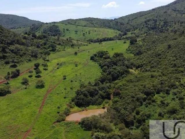 Sítio e chácara venda em Santana do Ibititá, Barro Alto