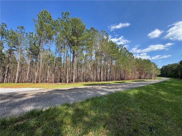 Land for sale in Tallapoosa, Alabama