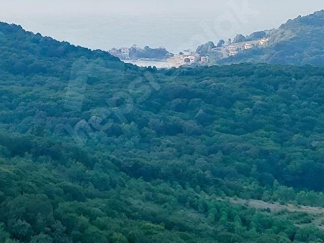 Bartın Merkez, Bartin içerisinde satılık Arsa