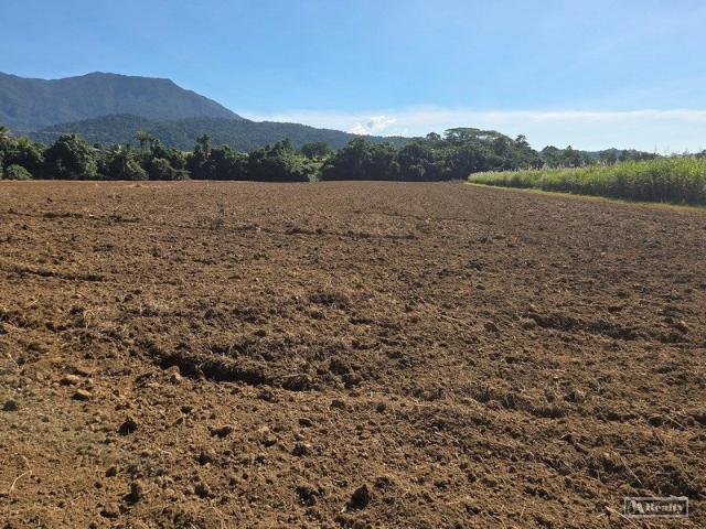Property for sale in Bartle Frere, Queensland