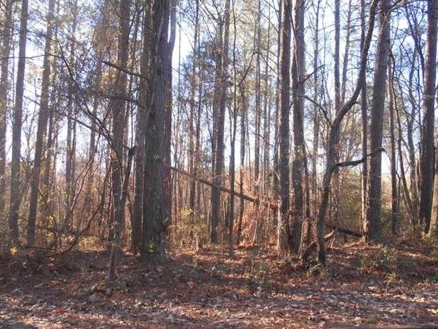 Land for sale in Bowdon, Georgia