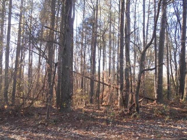 Land for sale in Bowdon, Georgia