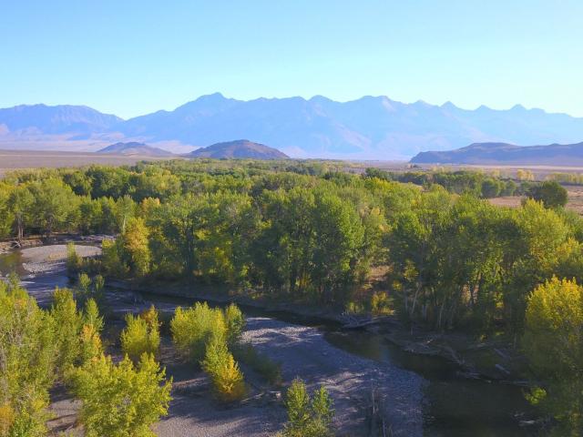 Property for sale in Mackay, Idaho