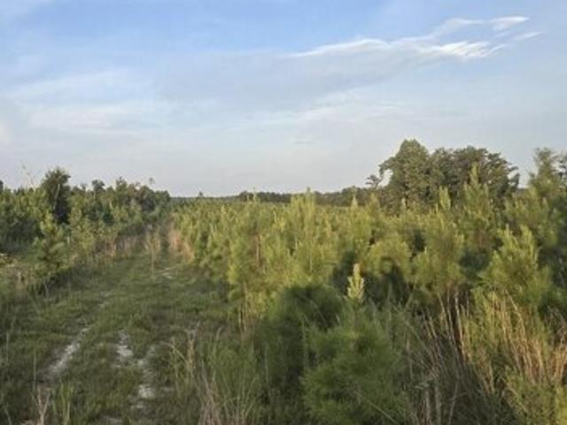 Land for sale in Marianna