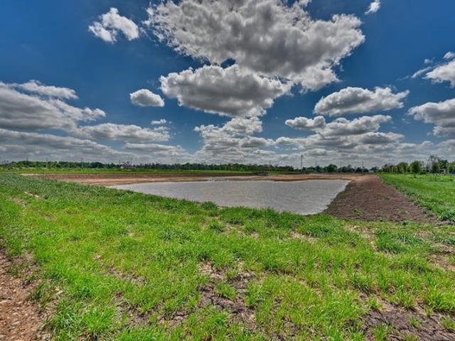 Land for sale in Sealy, Texas