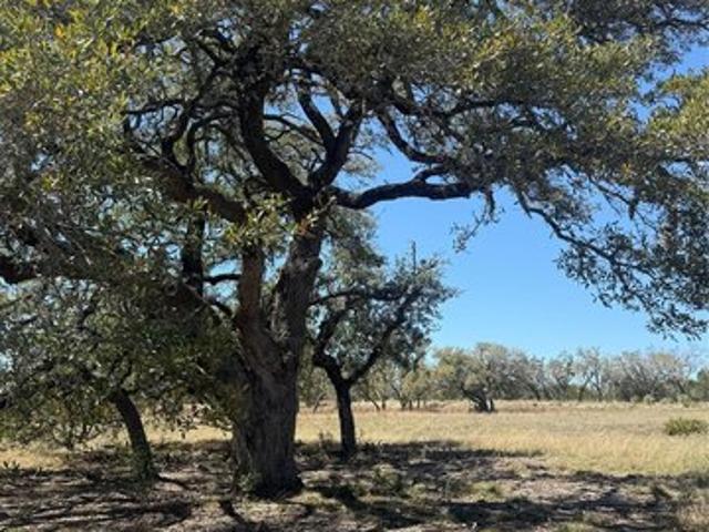 Land for sale in Hays, Texas