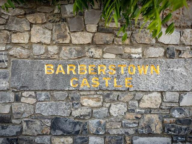 Farm for sale in Straffan