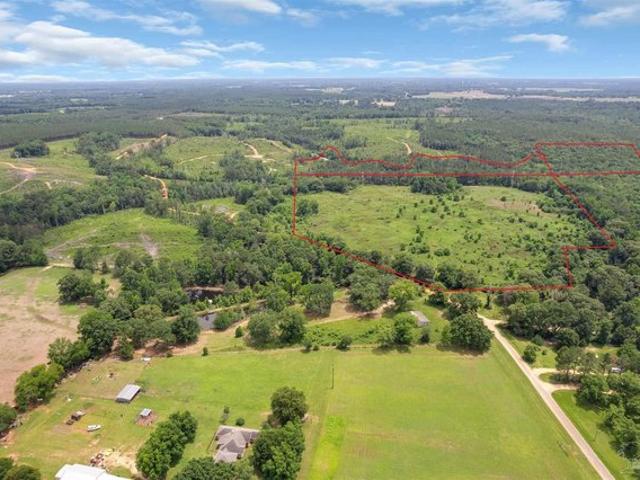 Land for sale in Monroeville, Alabama