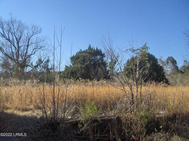 Land for sale in Barnwell