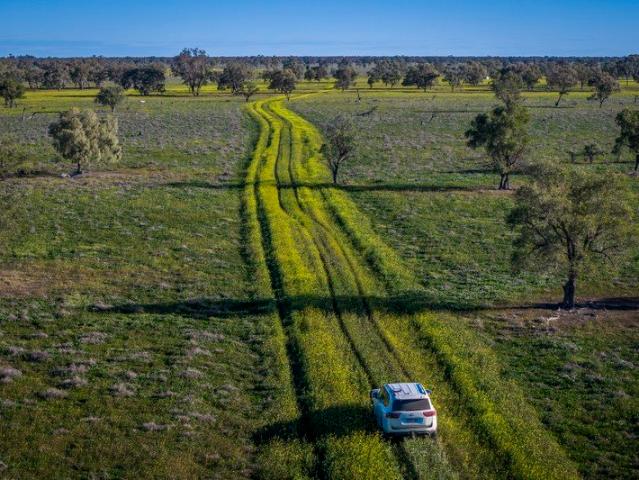 Cottage for sale in Walgett, New South Wales