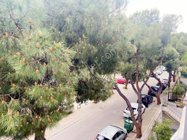 Karabağlar, İzmir içerisinde satılık mülk