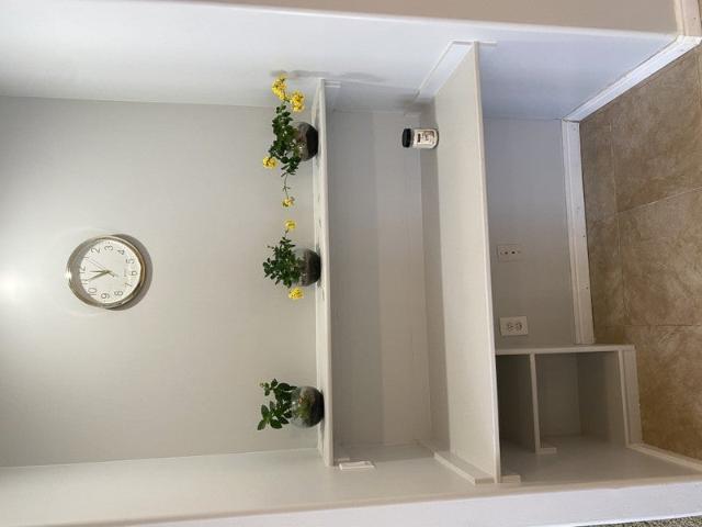 Room for rent in American Fork, Utah