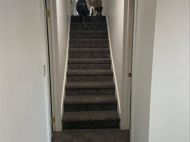 Room for rent in West Jordan, Utah