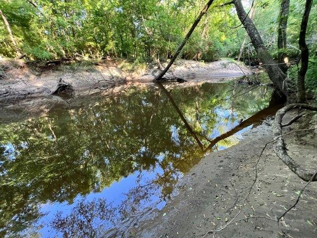 Land for sale in Millry, Alabama