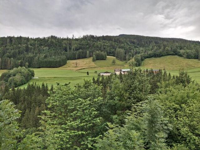 Apartment mieten in Taxberg, Taxenbach