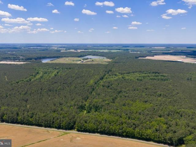 Land for sale in Newark, Maryland