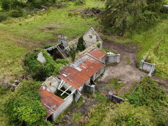 Farm for sale in Castlerea