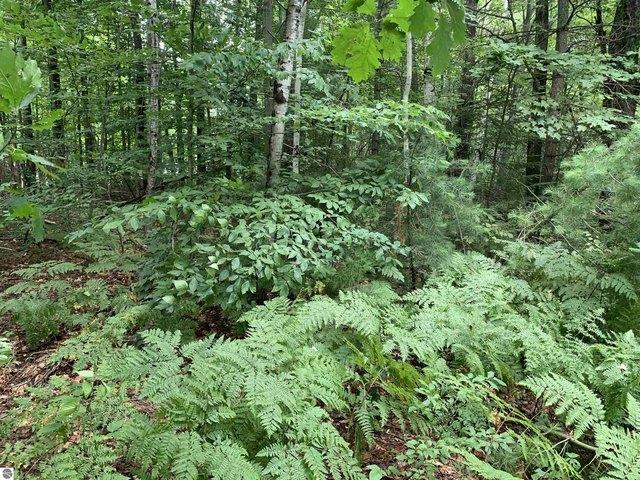 Land for sale in Kalkaska, Michigan