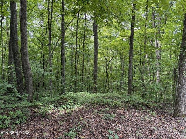 Land for sale in Tennessee