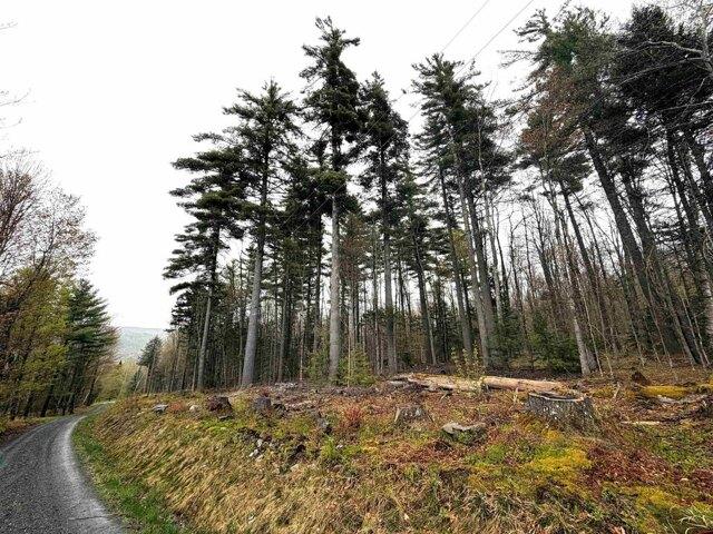 Land for sale in Vermont