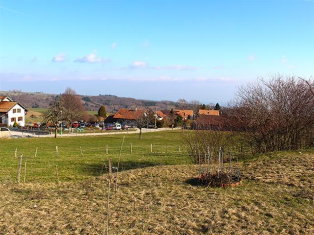 Einfamilienhaus kaufen in Bassins, Waadt
