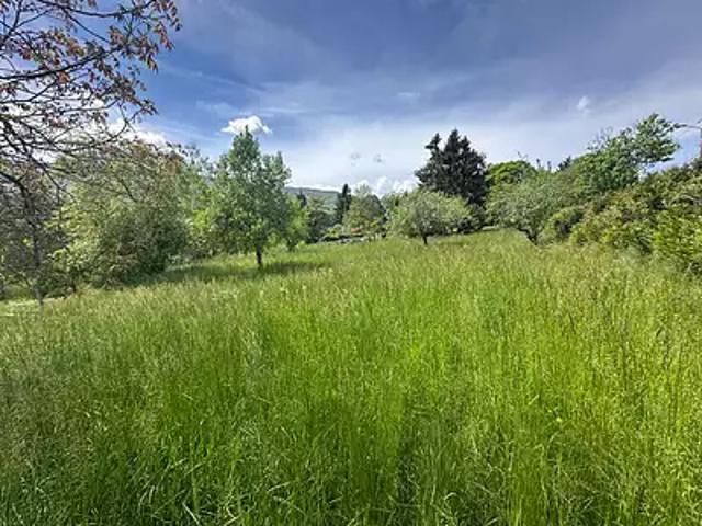Terrain vente à Saint-Julien-en-Genevois, Bassy
