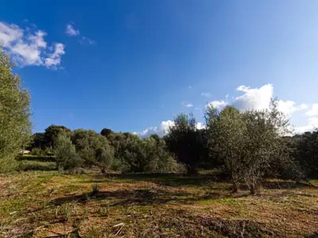 Terrain vente à Ajaccio, Bastelicaccia