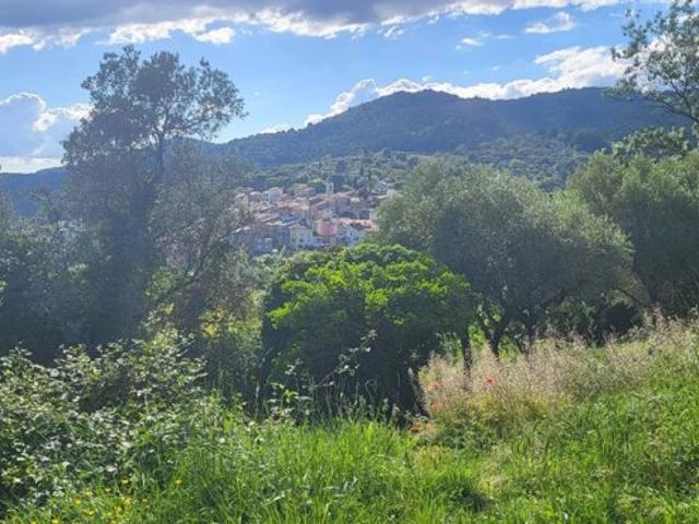 Maison vente à Arrondissement de Draguignan, Callas