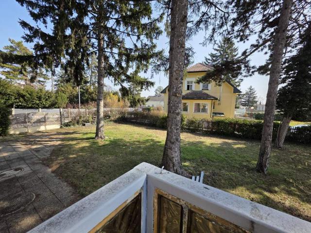 Haus kaufen in Neustadtl an der Donau, Niederösterreich