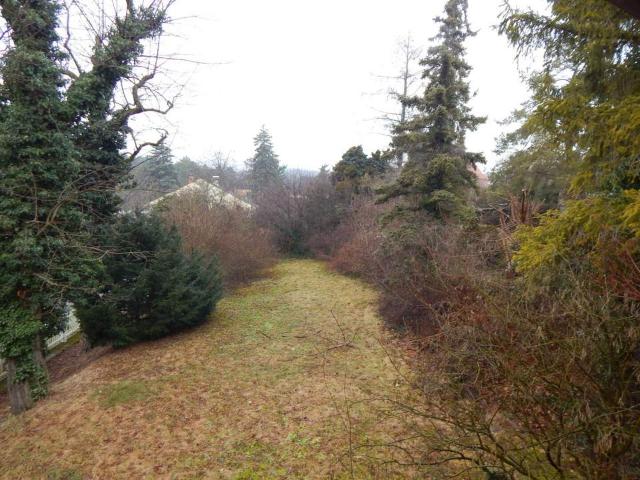 Haus kaufen in Neustadtl an der Donau, Niederösterreich