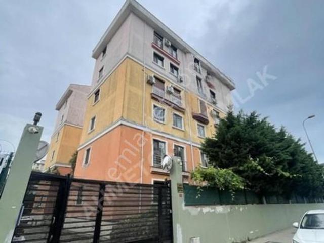 Batı Mahallesi, Pendik içerisinde kiralık mülk