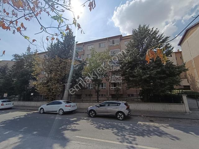 Batı Sitesi Mahallesi, Yenimahalle içerisinde kiralık mülk