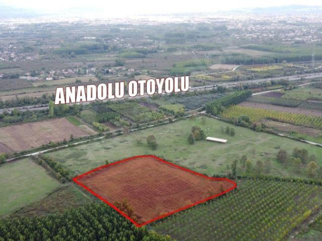 Efendi, Düzce Merkez içerisinde satılık Arsa