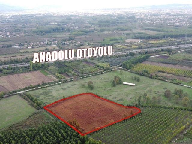 Düzce Merkez, Düzce içerisinde satılık Arsa
