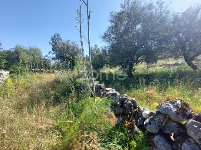Terreno venda em Batalha, Leiria