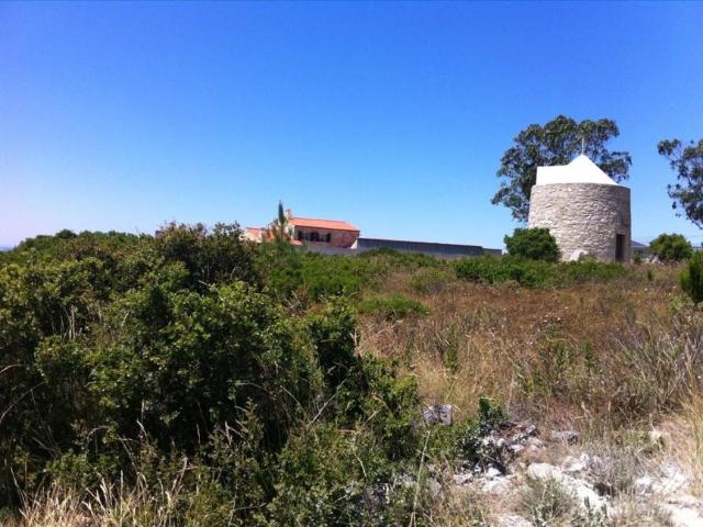 Terreno venda em Batalha, Leiria