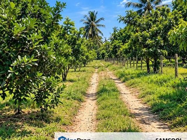 Shop for sale in Kuala Selangor
