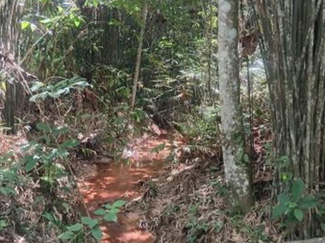 Shop for sale in Perak