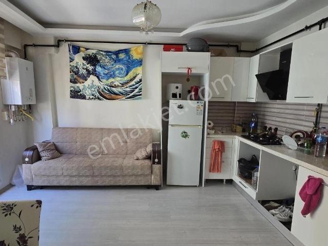 Aydin içerisinde kiralık mülk