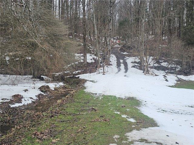 Land for sale in Cherry Creek, New York