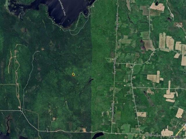 Land for sale in Linneus, Maine
