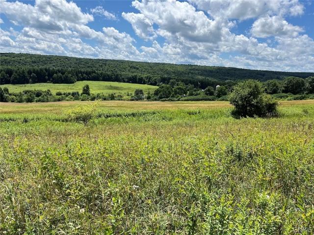 Land for sale in Cherry Creek, New York