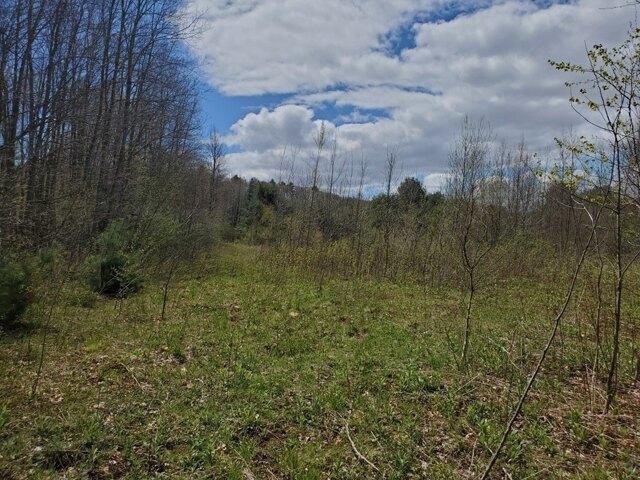 Land for sale in North Brookfield, Massachusetts