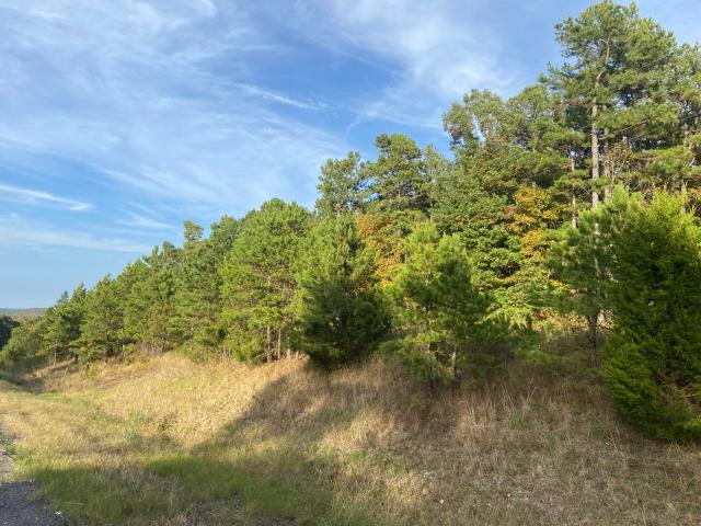 Land for sale in Ark