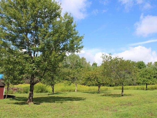 Land for sale in New Hampshire